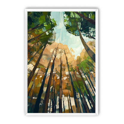 Canopy Lightfall