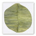 Dark green stripes crease inward