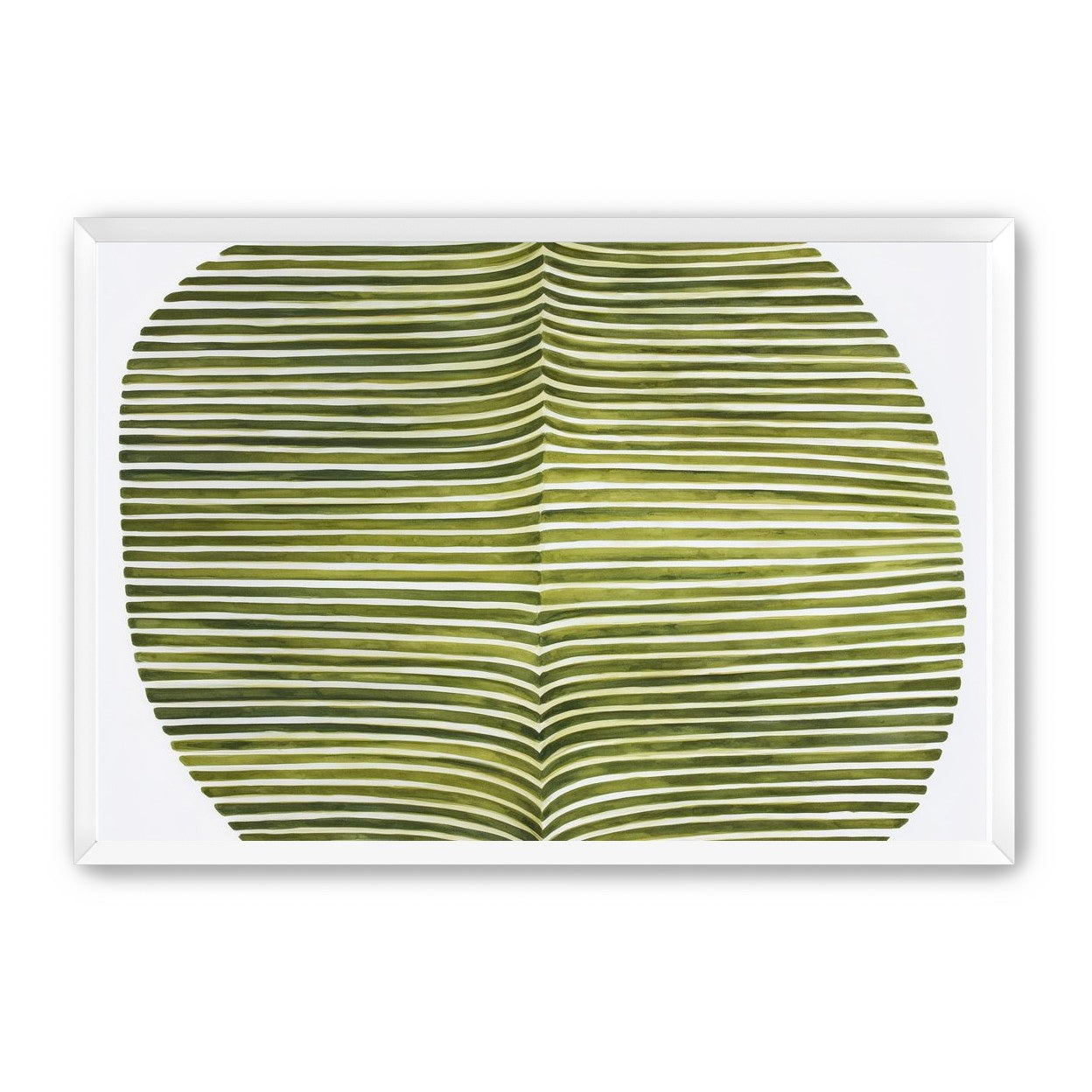 Dark green stripes crease inward