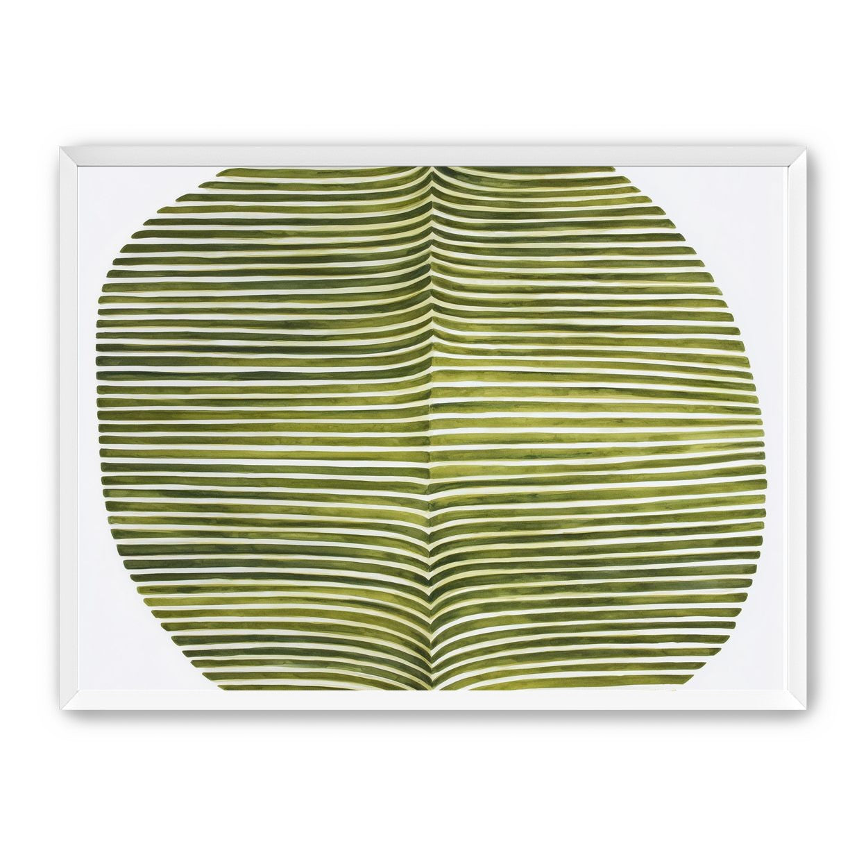 Dark green stripes crease inward