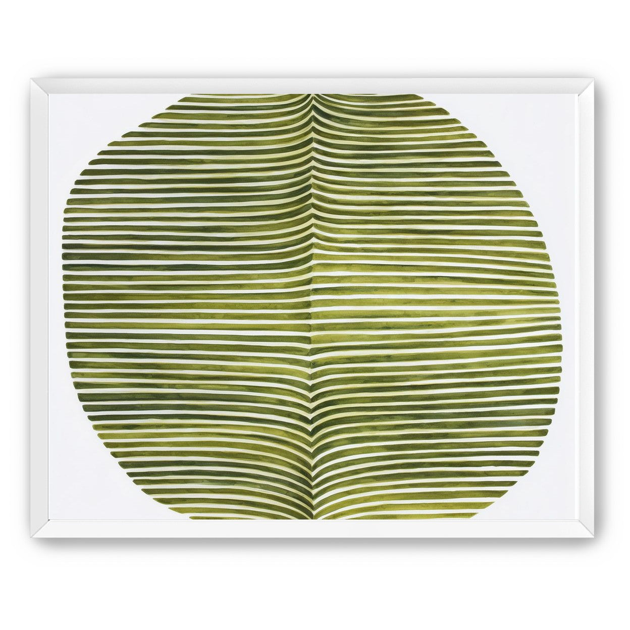 Dark green stripes crease inward