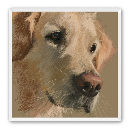 Warm fur in brown quietness