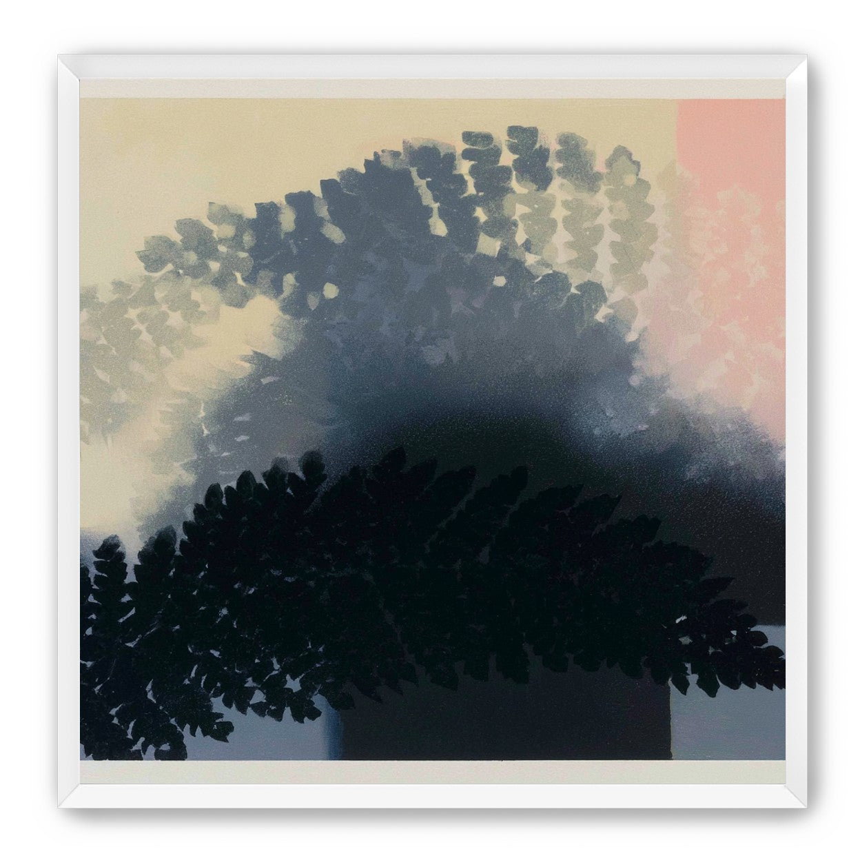 Tree shadow across the sky