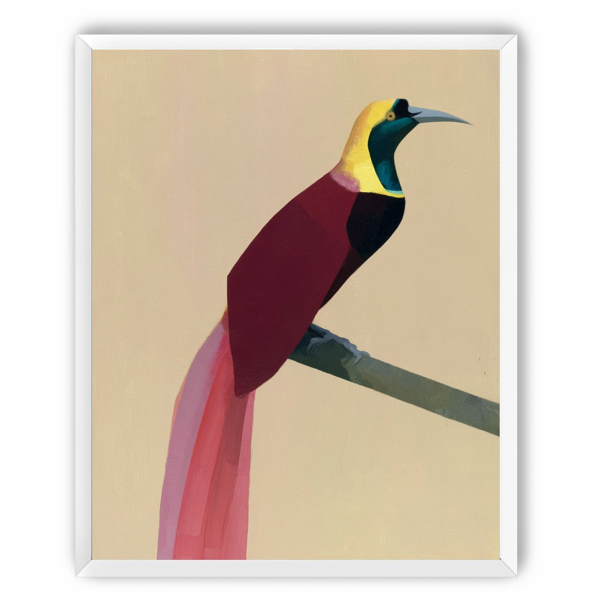A bright bird on a branch