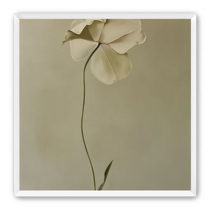 One flower leaning into quiet