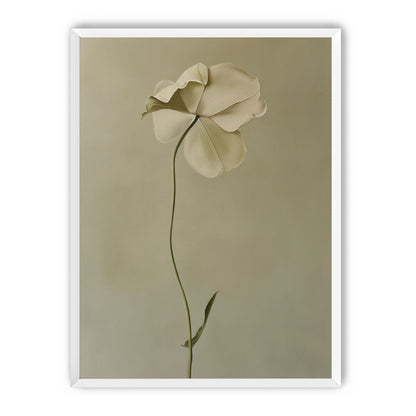 One flower leaning into quiet
