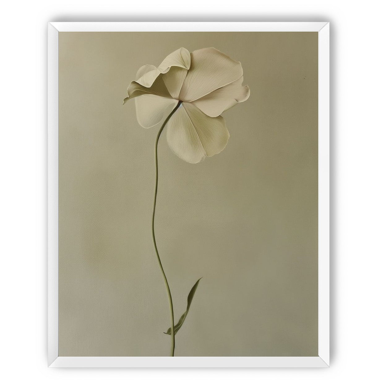 One flower leaning into quiet