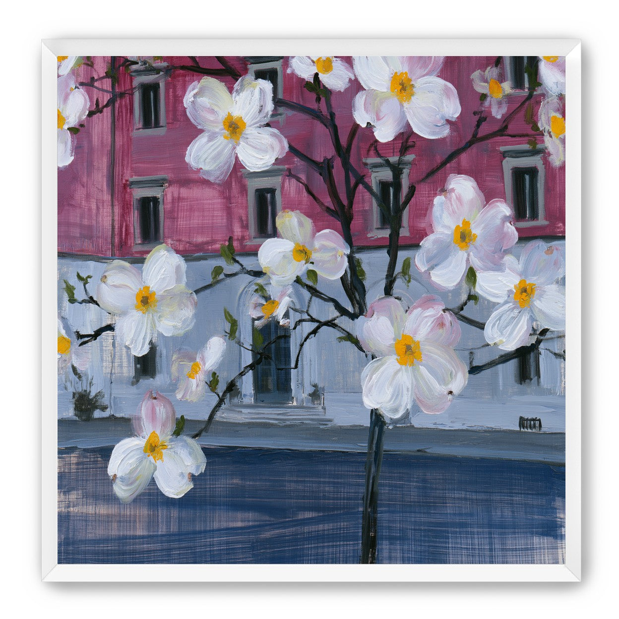 White blossoms over the pink house