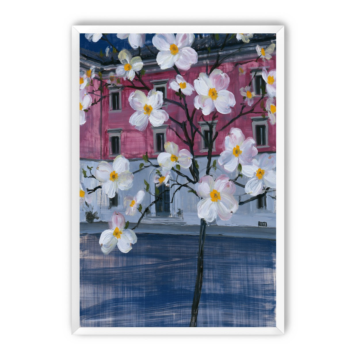 White blossoms over the pink house