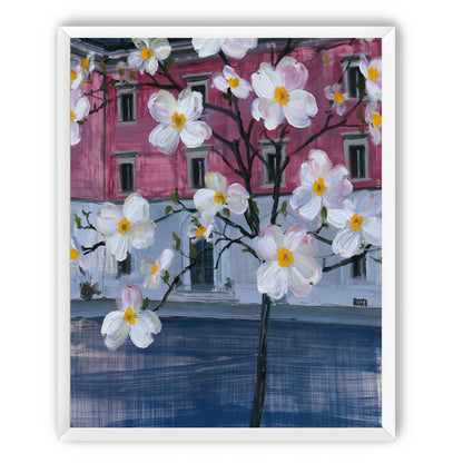 White blossoms over the pink house