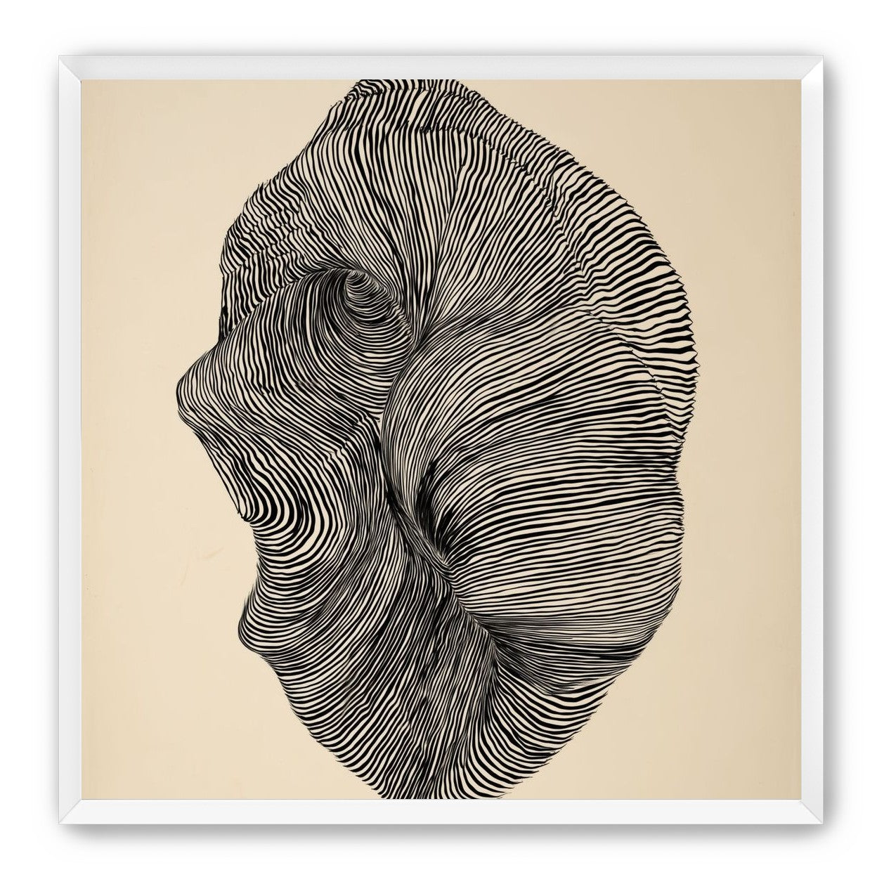 Striped profile on beige