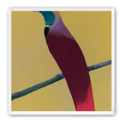 A bright bird on yellow