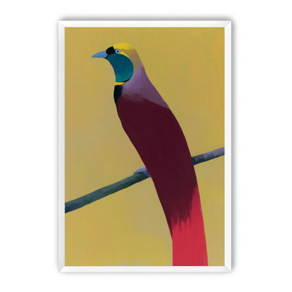 A bright bird on yellow