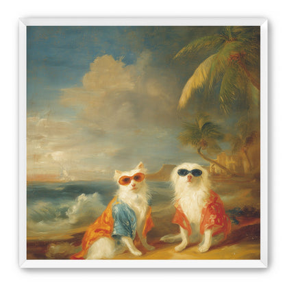 Sunglasses cats on the beach