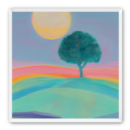 The sun behind the tree