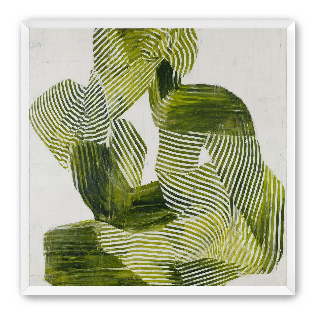 Olive stripes in repose