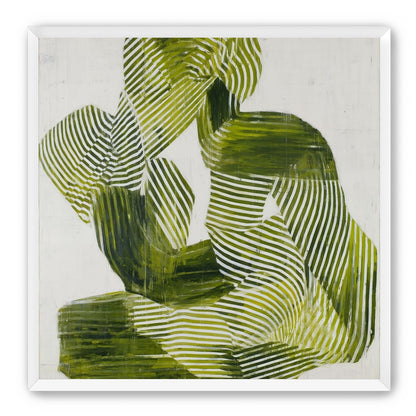 Olive stripes in repose