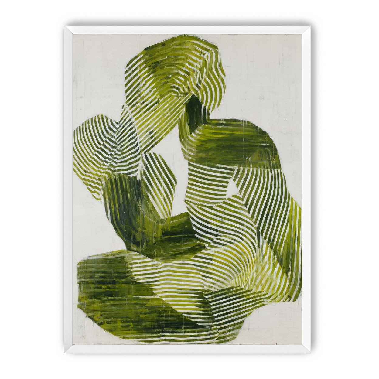 Olive stripes in repose