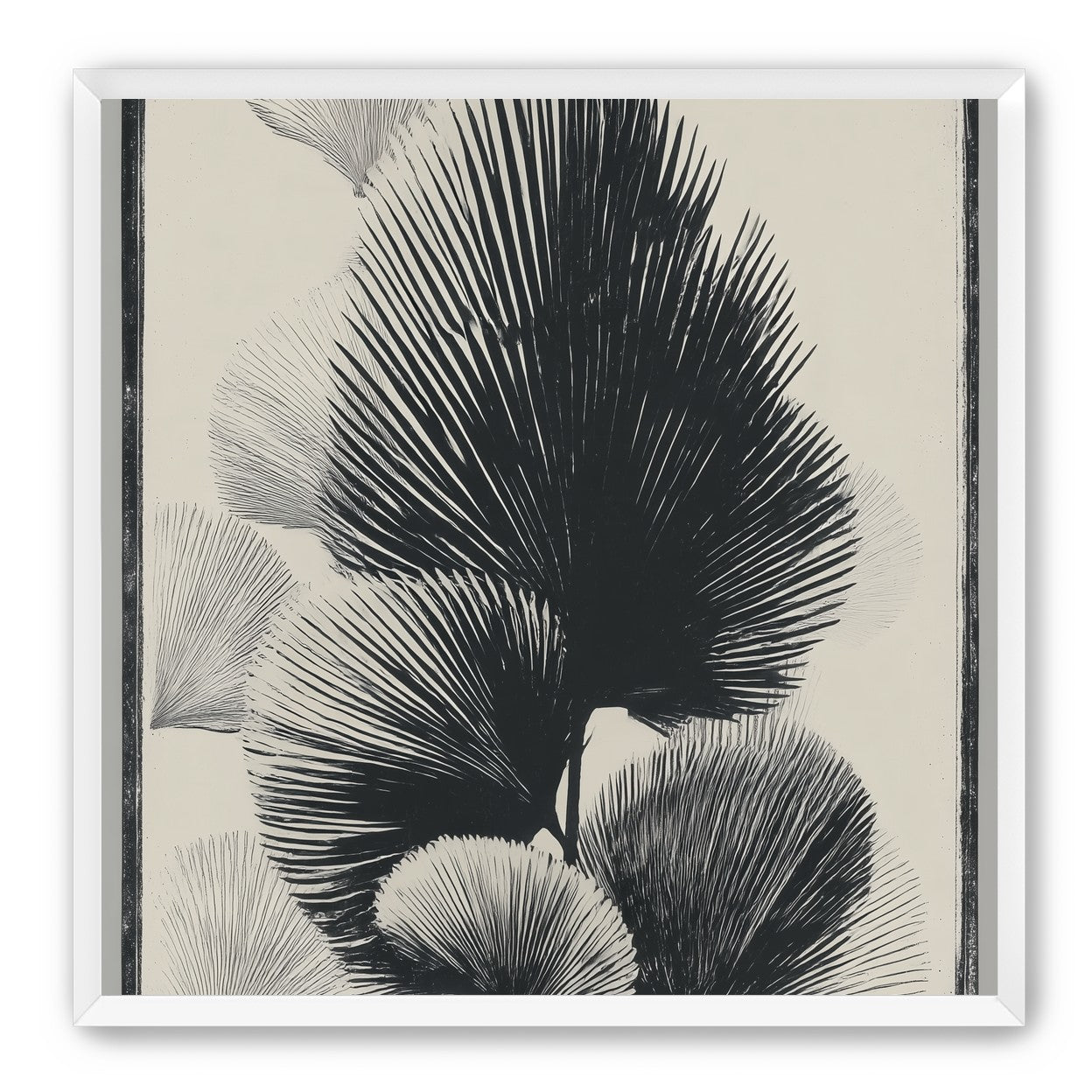 Fan fronds in ink shadow
