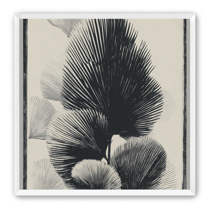 Fan fronds in ink shadow