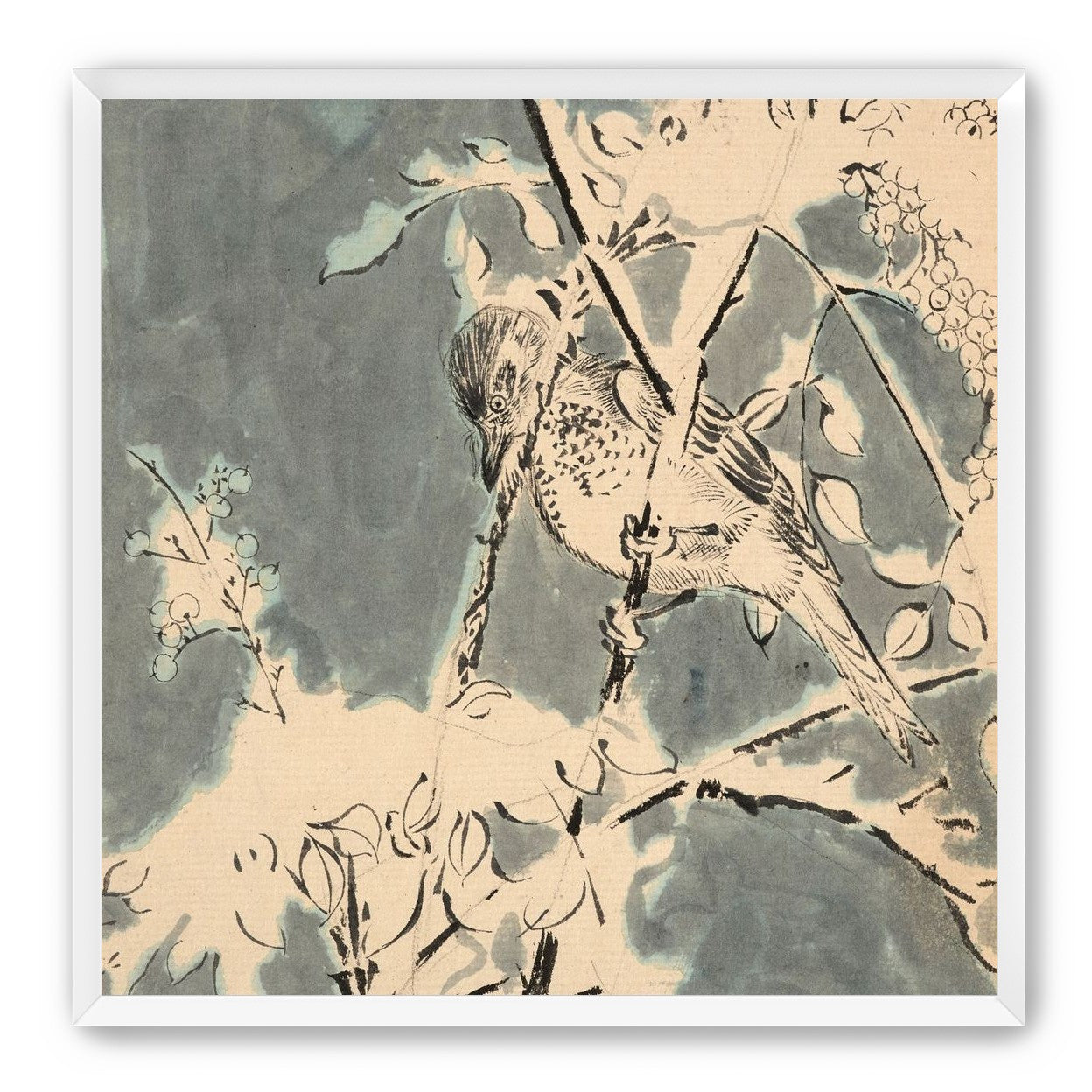 Quiet bird in berry branches