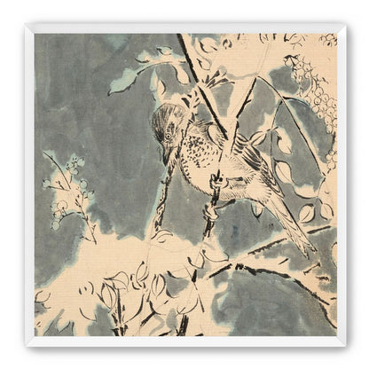 Quiet bird in berry branches