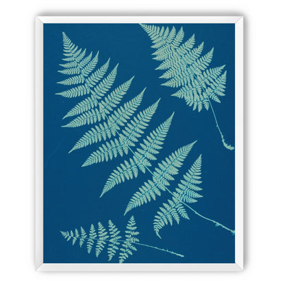 Pale ferns in deep blue