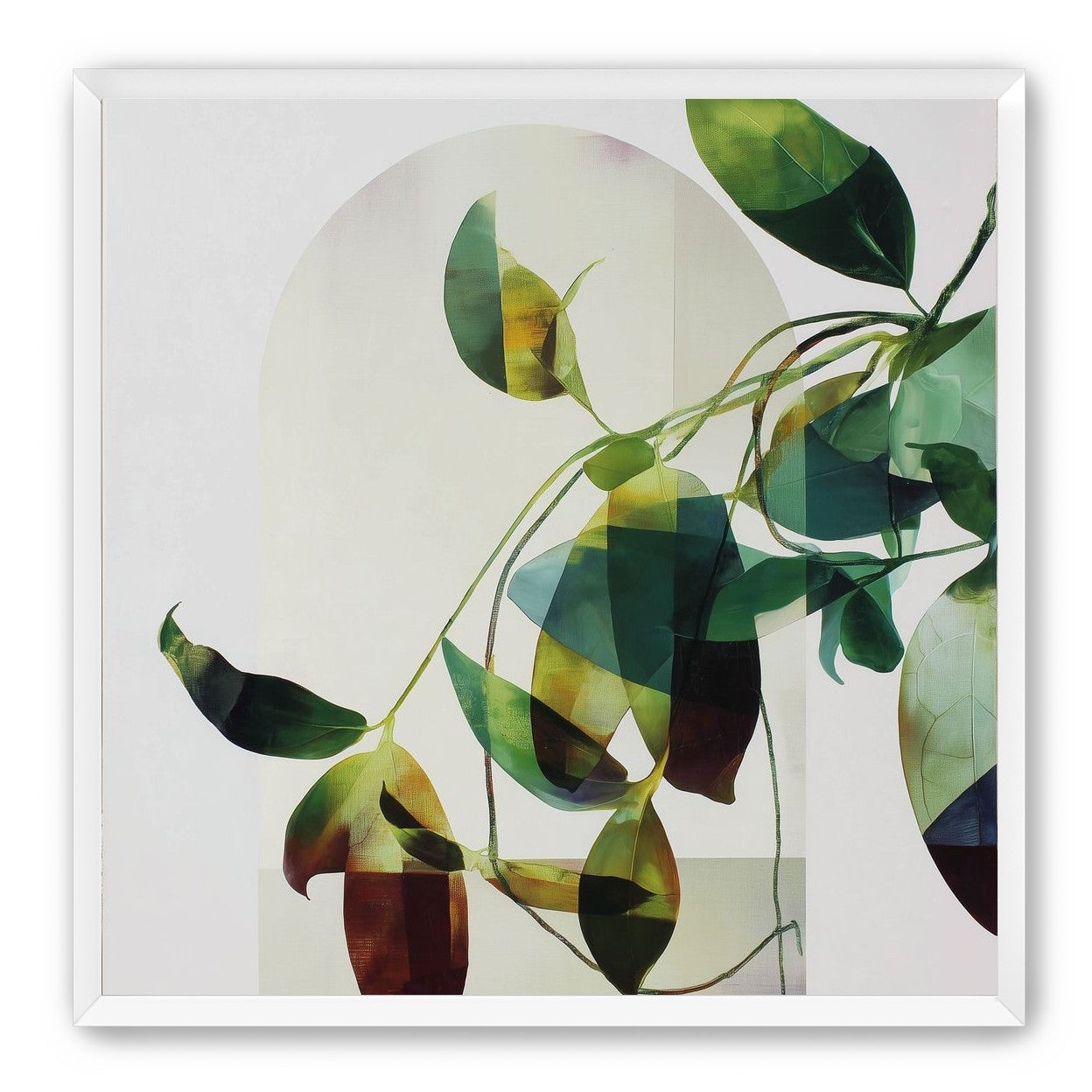 Leaves in a pale halo