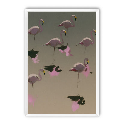 Flamingos in still water