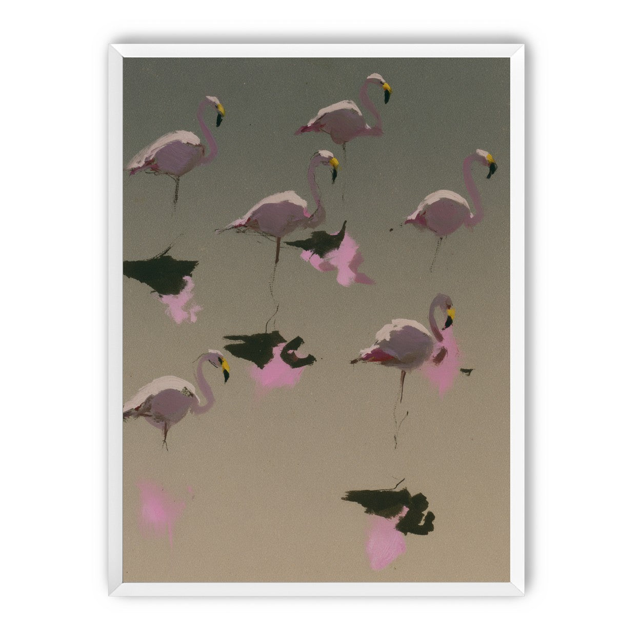 Flamingos in still water