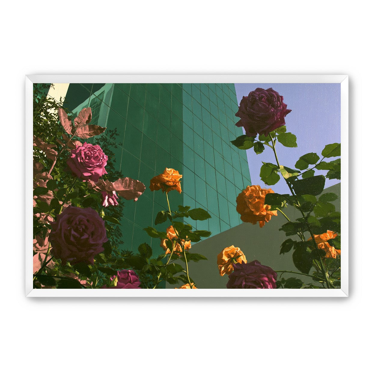 Roses climbing the glass wall