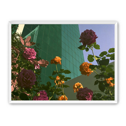 Roses climbing the glass wall