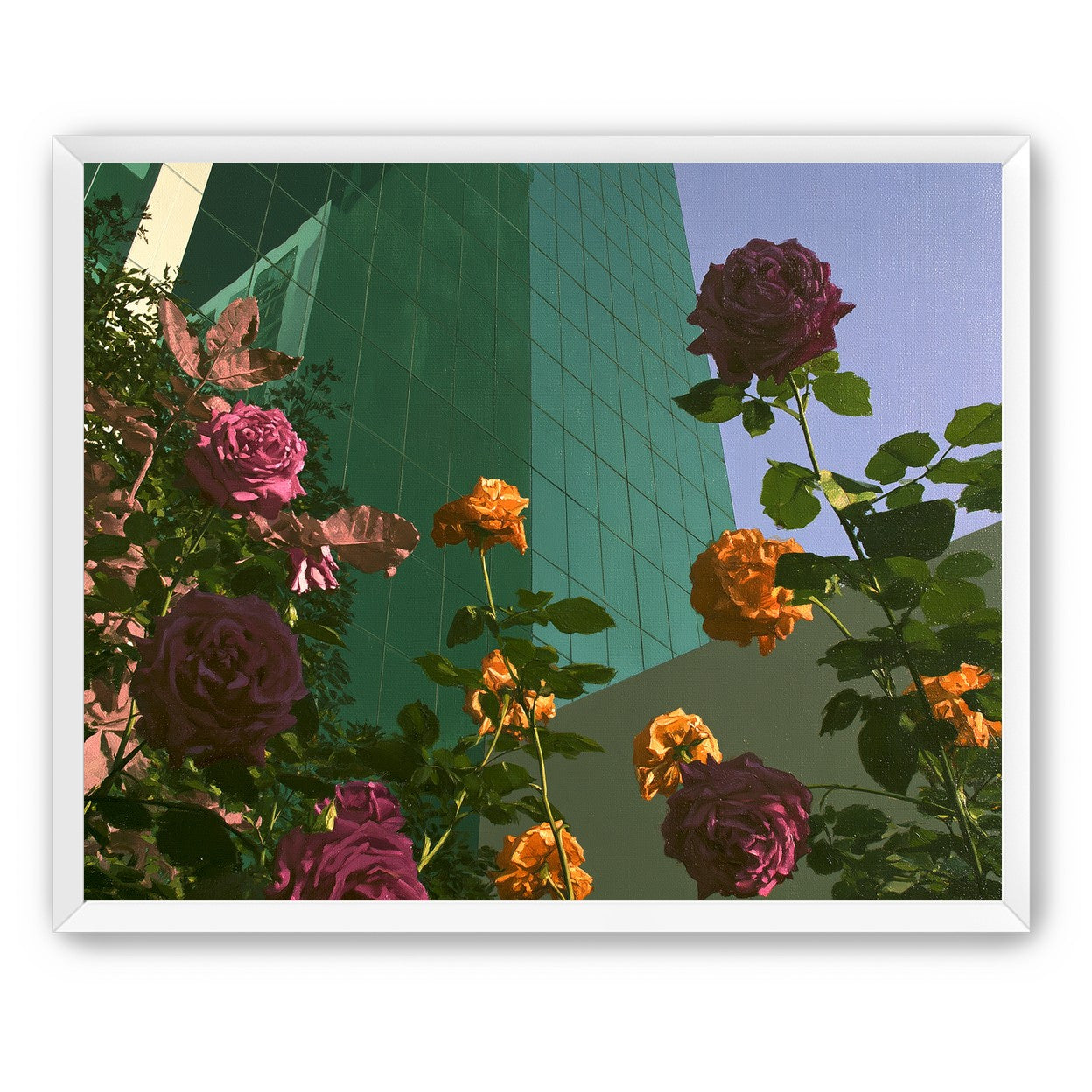 Roses climbing the glass wall