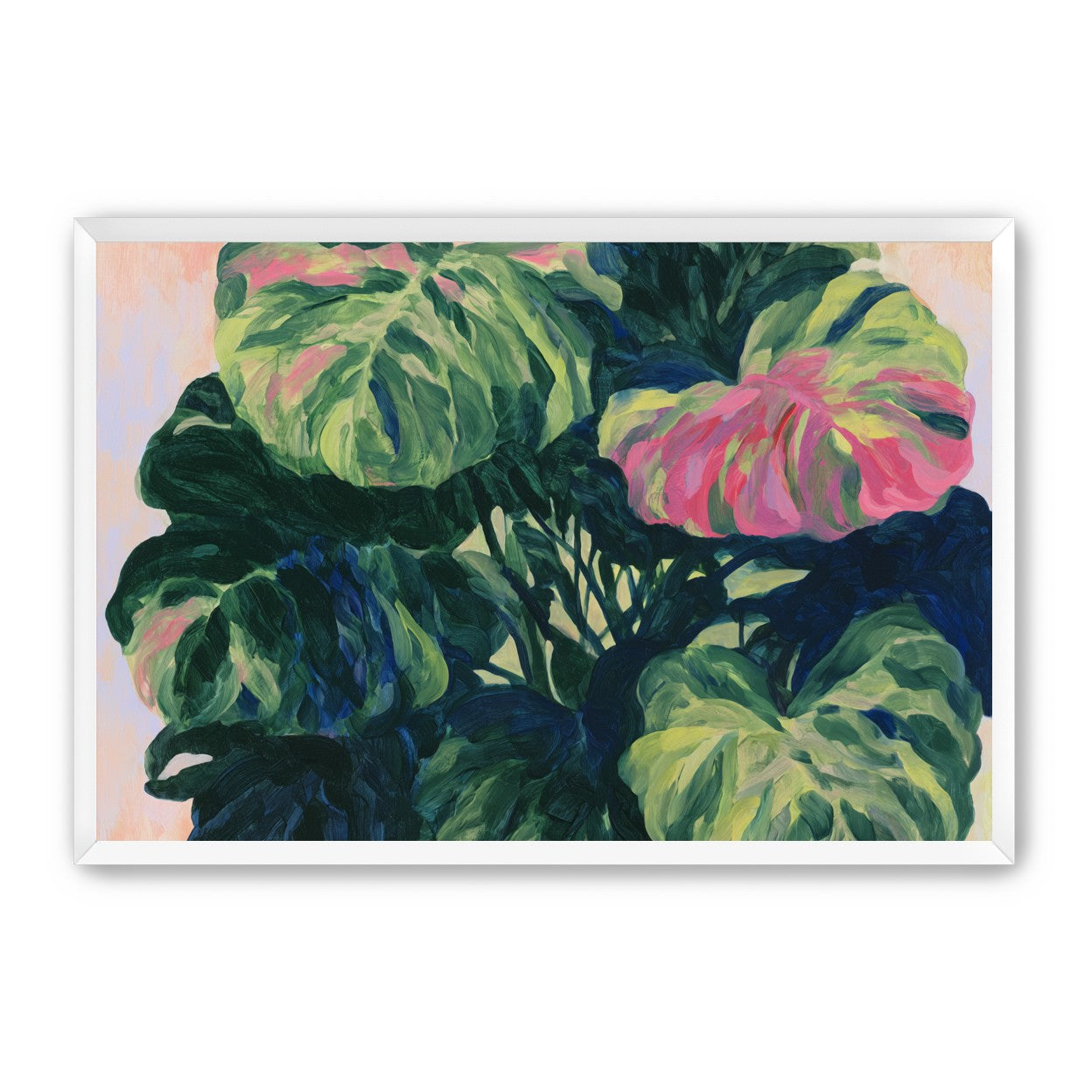 Pink light on green leaves