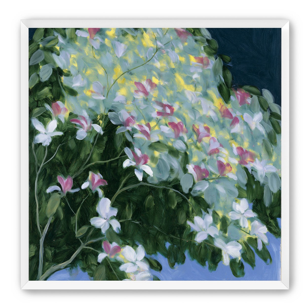 Blossoms across the night sky