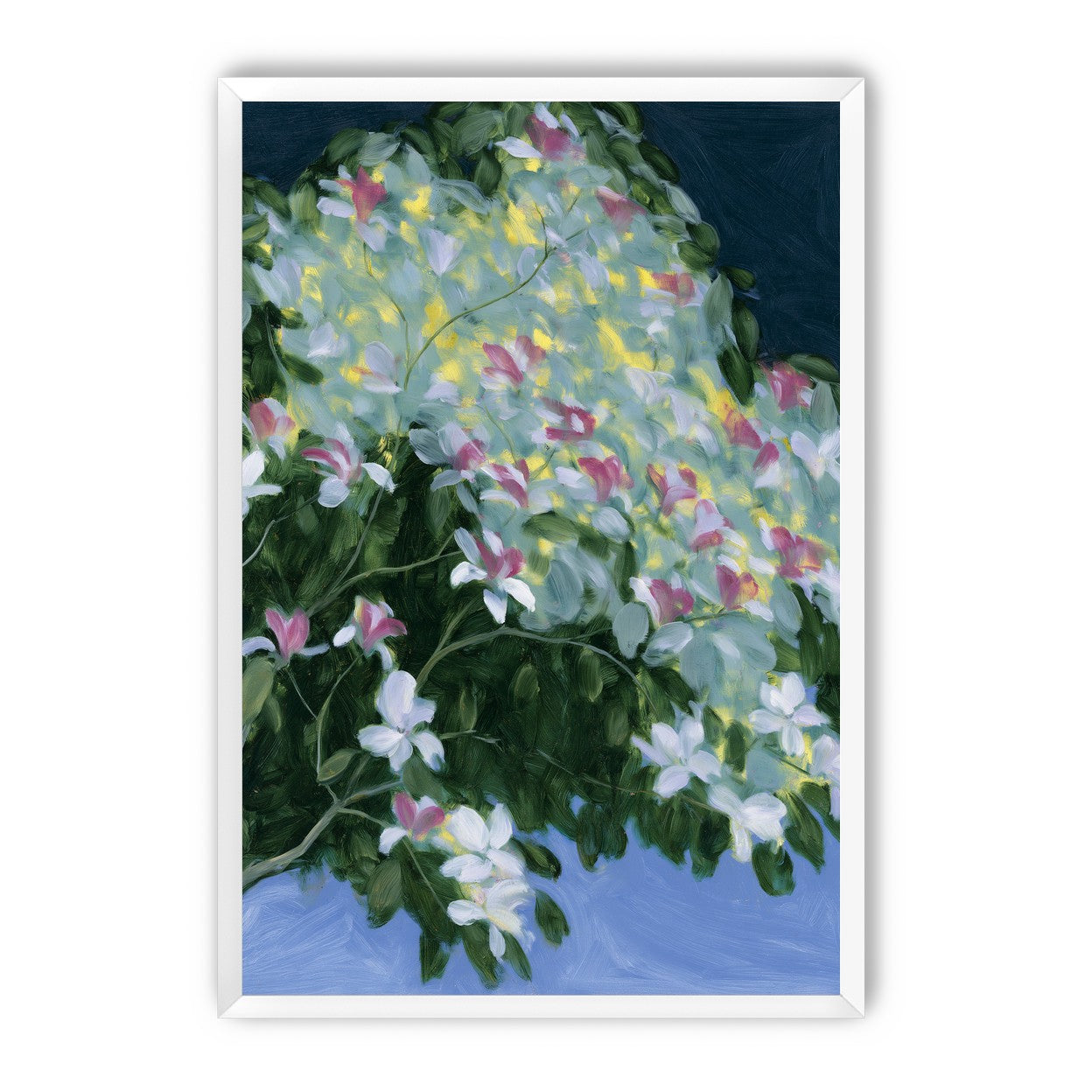 Blossoms across the night sky
