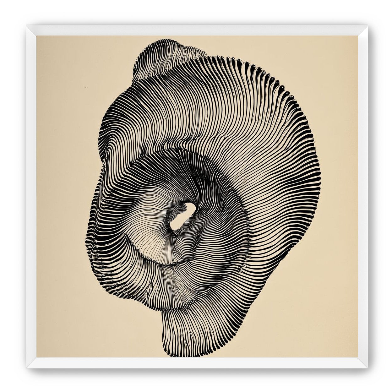 A hollow within black lines