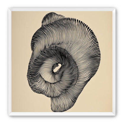 A hollow within black lines