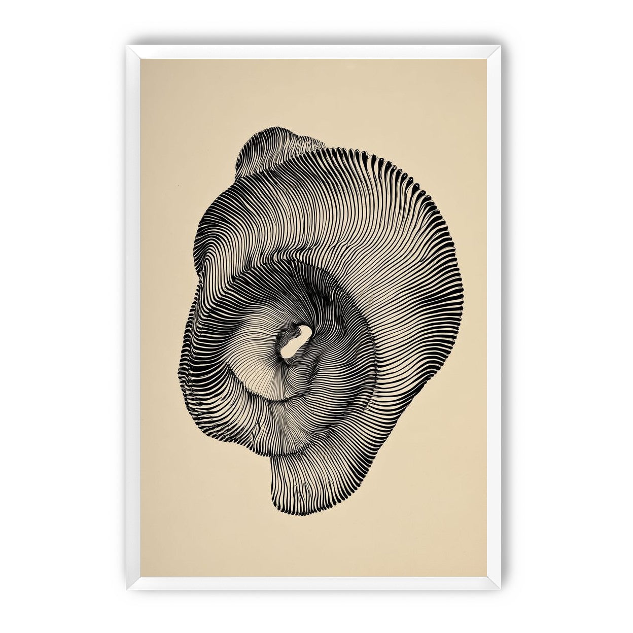 A hollow within black lines