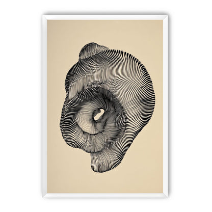 A hollow within black lines