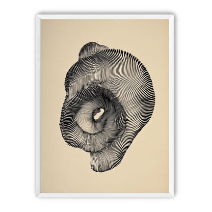 A hollow within black lines