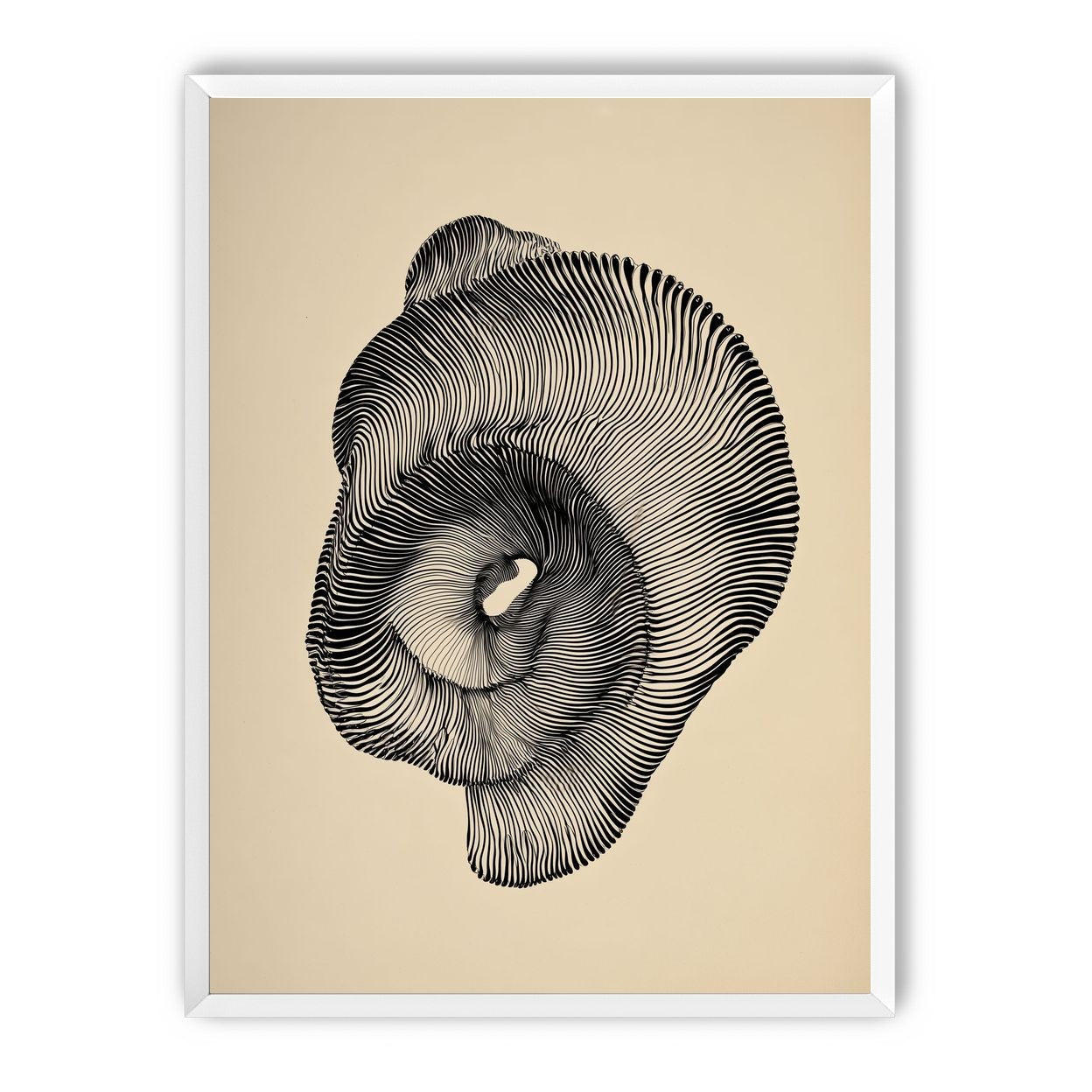 A hollow within black lines