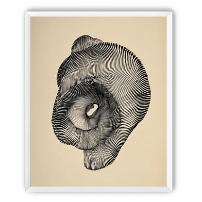 A hollow within black lines