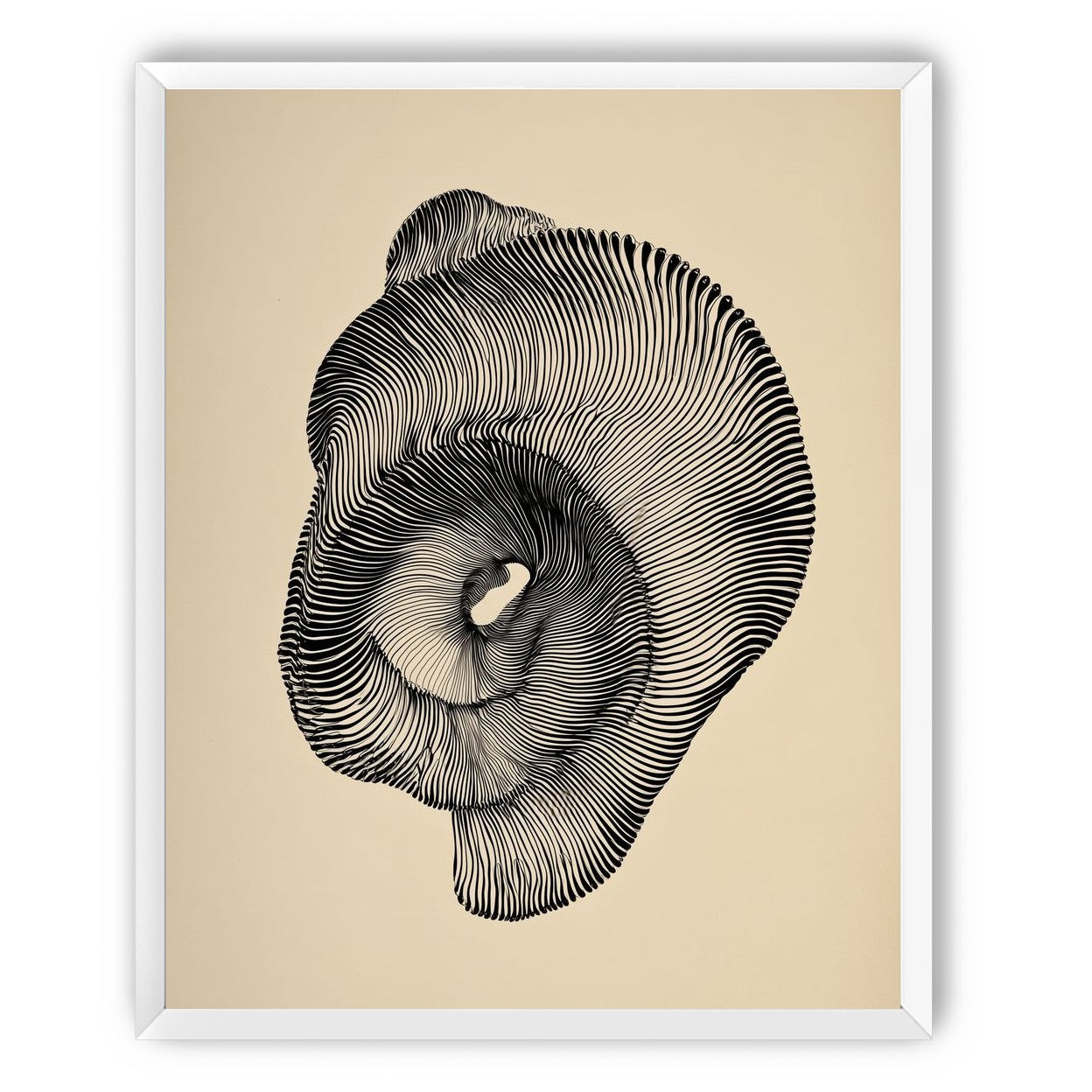 A hollow within black lines