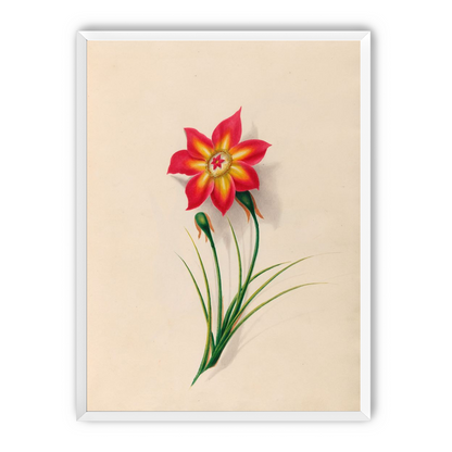 One flower above two buds