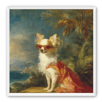 Sunglasses on the seaside dog