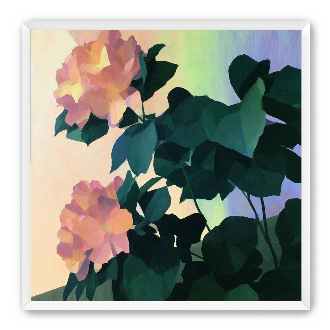 Roses against a pastel sky