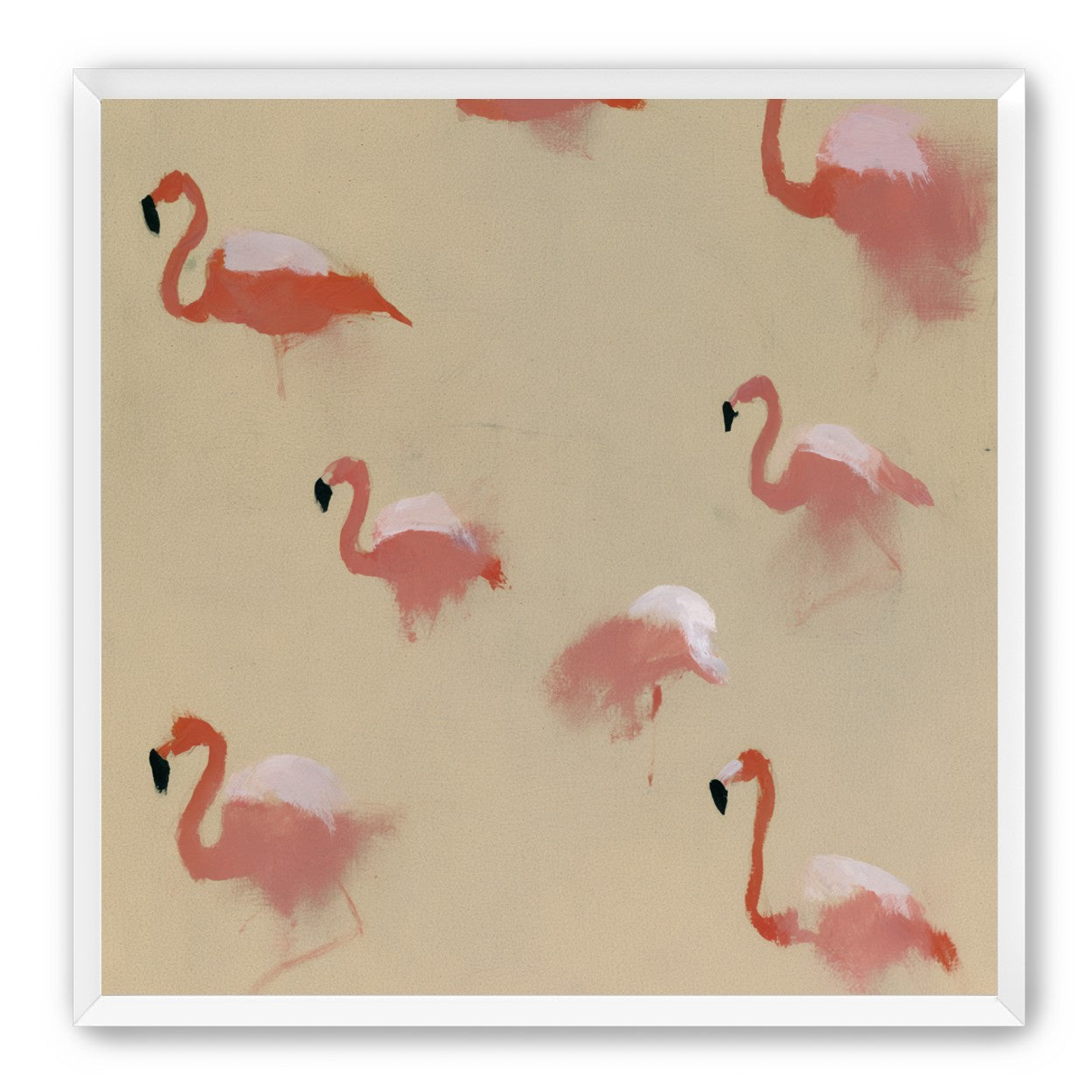 Flamingos in quiet drift