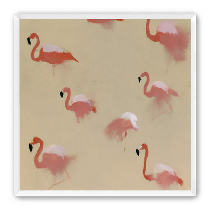 Flamingos in quiet drift