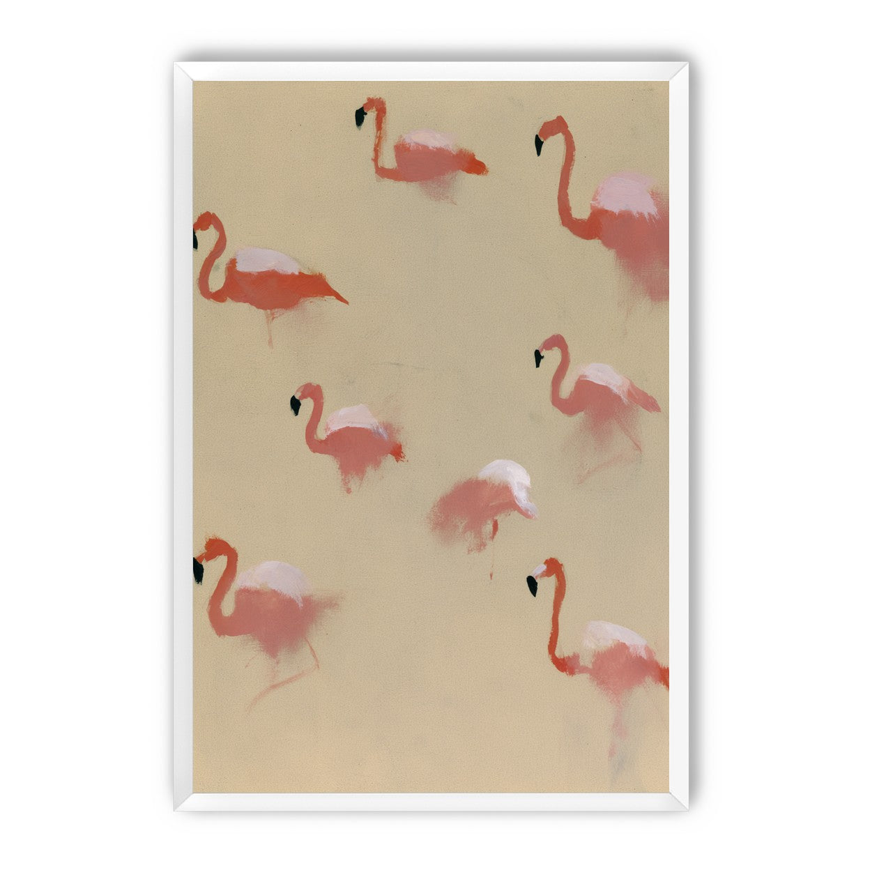 Flamingos in quiet drift